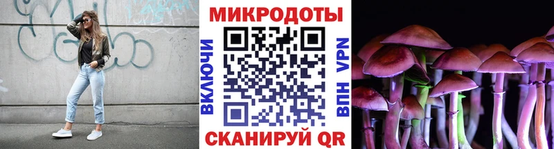 дарнет шоп  Судогда  mega как войти  сайты даркнета состав  Псилоцибиновые грибы ЛСД 